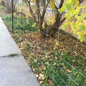 Rollo <span class=keywords><strong>de</strong></span> Alambre Galvanizado por Inmersión en Caliente <span class=keywords><strong>de</strong></span> 100 m para Cercas <span class=keywords><strong>de</strong></span> Campo, para Cabras, <span class=keywords><strong>Cerdos</strong></span>, Ovejas, Ganado, Caballos, Cerca Agrícola <span class=keywords><strong>de</strong></span> Alta Resistencia - Product Image 4