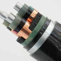 Cable de Alimentación de Aluminio 1kv 6.6kv 11kv 30kv 33kv 35kv, 3 Núcleos, Un Núcleo, Media Tensión, XLPE, Blindado, para Estación de Energía Marina, IP66
