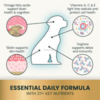 90 Tabletas Multivitamínicas para Perros, 27+ Activos para el Bienestar, Biotina, Vitaminas A, C y E, Suplemento para Mascotas, Refuerzo de Mantenimiento, Cuidado Diario de Vitalidad