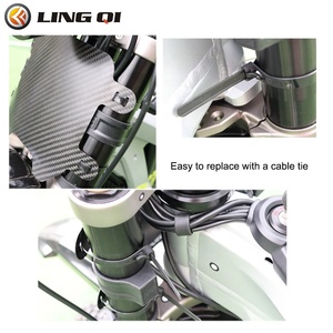 LINGQI Piezas <span class=keywords><strong>de</strong></span> Motocicleta SURRON Light Bee, Placa <span class=keywords><strong>de</strong></span> Matrícula Modificada <span class=keywords><strong>de</strong></span> Fibra <span class=keywords><strong>de</strong></span> Carbono para SUR RON, Accesorios para Placa <span class=keywords><strong>de</strong></span> Matrícula SUR-RON - Product Image 5