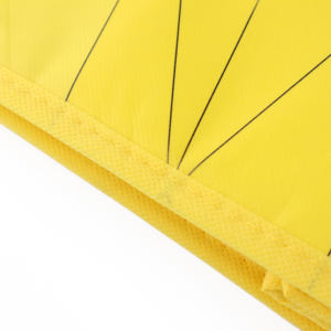 Hot Sale Cake Cooler <b>Bag</b> Insulated <b>Bag</b> for Takeout Thermal <b>Bag</b> - Product Image 5