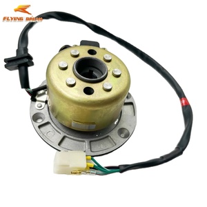 <span class=keywords><strong>Magneto</strong></span> para Motocicleta de Cross DT190 de 4 Válvulas, Motor Anima Daytona 190cc FSM, 100% Original para Muestra - Product Image 2