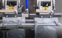 Machine d'emballage de sachets préfabriqués automatique SG-210 machine de remplissage de sachets de granulés de poudre horizontaux pour liquides machine à sceller les sachets