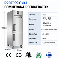 Congélateur vertical professionnel en acier inoxydable haute performance, à température unique, avec contrôle numérique de la température et congélation rapide