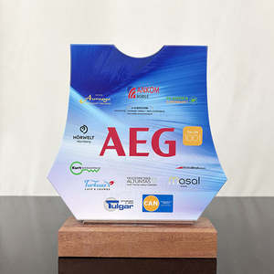 Trophée en verre personnalisé de haute qualité pour réunions sportives annuelles, <span class=keywords><strong>plaque</strong></span> de trophée en cristal bleu, récompense - Product Image 3