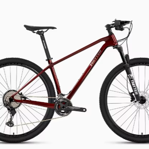 Vélo de montagne en fibre de carbone WARRIORpro 27,5/29 pouces avec suspension avant, transmission 2*12 vitesses pour la course et la ville, WARRIORpro Carbon F - Product Image 5