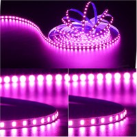 Bande LED rose de haute qualité 2835 12V 24V 120LEDs/m 120leds/m Bande LED flexible 4000K 6500K IBELED Bandes LED