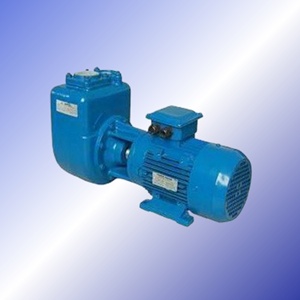 Bomba de Agua de la Serie EJ, Fabricada en China, Ahorro de Energía para Uso Industrial, OEM - Product Image 1