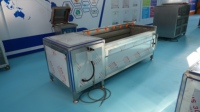 Commerciële rolborstelwasmachine voor het reinigen van wortelgroenten en fruit, geschikt voor aardappel, wortel en gember, inclusief verwerkingslijn.