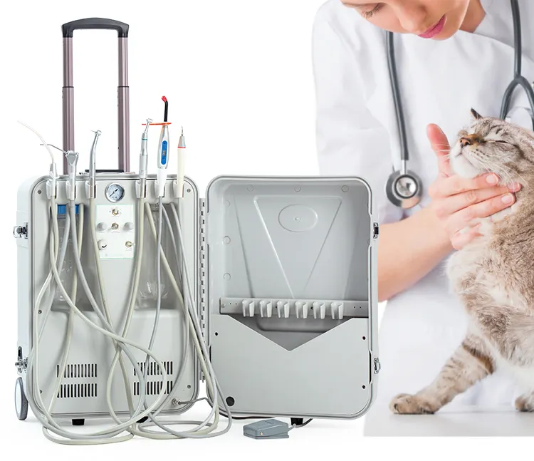Vet Use 2024 Unidades Dentales Suction HR-DP15 Dental Equipment Mobile Suitcase Portable Veterinary Dental Unit for Pet