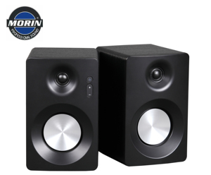 Altoparlante Attivo Mini <span class=keywords><strong>per</strong></span> Casa Morin CM-102-100W, 4 Pollici Hi-Fi con <span class=keywords><strong>Cassa</strong></span> in Legno - Product Image 1