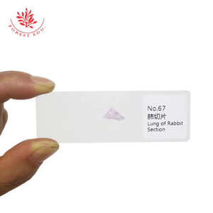 Chuẩn bị Slide 100 thực vật + 100 động vật Slide nói chung các loại Khoa học tự nhiên 200 miếng - Product Image 4