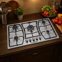 Cuisinière à gaz 5 brûleurs en acier inoxydable, prix de gros direct usine