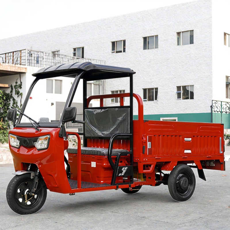 Customized Electric Cargo Tricycle with Cape