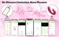 Nouveau vibrateur lapin portable connecté pour femmes, stimulateur de point G, vibromasseur culotte, jouet sexuel pour masturbation féminine