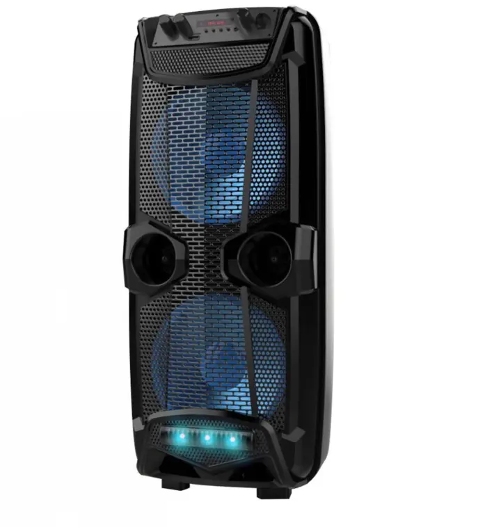 Flame Light Karaoke Portable Double 8 inches Speaker DJ Sound With Microphone