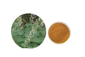 באיכות גבוהה macleaya תמצית 40% אבקת <span class=keywords><strong>sanguinarine</strong></span> - Product Image 2