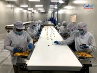 Machine industrielle de transformation des fruits secs (Système de fabrication de fruits secs, ligne de production de tranches de mangue, de citron)