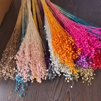 Bouquet de fleurs séchées et préservées Rich Beans 16 couleurs 50g et lots d'artisanat pour la Fête des Mères