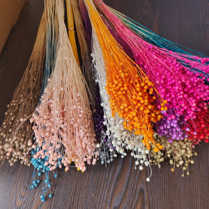 <span class=keywords><strong>Bouquet</strong></span> de <span class=keywords><strong>fleurs</strong></span> <span class=keywords><strong>séchées</strong></span> et préservées Rich Beans 16 couleurs 50g et lots d'artisanat pour la Fête des Mères - Product Image 3