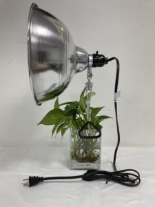 Pince de 10.5 "avec clip pour le mouvement libre de la lampe en aluminium - Product Image 3