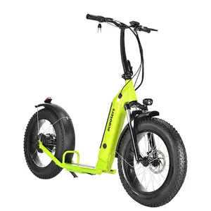 48V 500 Wát Treo Ngã Ba 20Inch Chất Béo Lốp Người Lớn Điện Kick Bike Electric Foot Scooter Điện Scooter