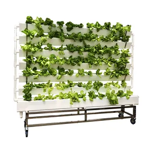 Oneone Wall Hydroponic Grow System NFT Channel Vertical NFT Planting rack per lattuga