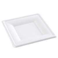 Plaques biodégradables jetables Plaques de moule en pâte à papier Bagasse de canne à sucre Plaques carrées 6/8/10 sans PFAS