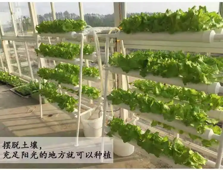 Hydroponics System with 72 Holes Kits Vertical Hydroponics PVC Pipe Plant Vegetable with 12V water pump