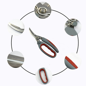 Suministro transfronterizo: Tijeras de cocina multifuncionales, tijeras de cocina domésticas de acero inoxidable, tijeras para deshuesar específicas para cocina - Product Image 3