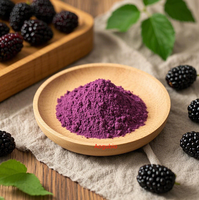 Hete Aanbieding Moerbeipoeder Natuurlijk Moerbeifruit Extract Poeder
