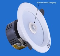 Lampe d'intérieur LED d'urgence Downlight rond de 6 pouces avec contrôle par capteur humain AC200-240V Downlight d'urgence rechargeable