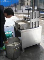 Presse à tofu, fromage et paneer manuelle motorisée, presse alimentaire en acier inoxydable 304 de qualité alimentaire