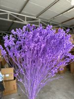 Bunga Limonium Kering Asli Awet Tahan Lama Hasil Pemutihan Grosir Yunnan, Bunga Hias untuk Tahun Baru Imlek, Harga Pabrik