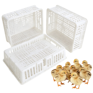 Cesta para pollitos de un día, caja de transporte de PP para 60 pollitos, con 4 compartimentos, de nuevos materiales, para <span class=keywords><strong>venta</strong></span>. - Product Image 1