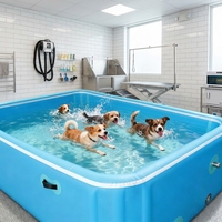 Grande piscine gonflable pour adultes en plein air, taille personnalisée avec technologie PVC Drop Stitch, piscine familiale durable