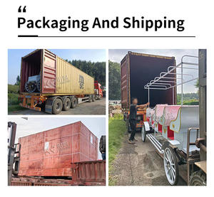 Nouveau véhicule électrique : voiturette funéraire, charrette, camion, vélo, charrette à chevaux personnalisable, remorque - Product Image 6