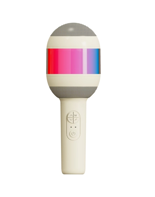 Outdoor Mini Karaoke Speaker RGB LED Lights 5W Output Wireless Microphone Portable FM Radio Karaoke Player for Home Computer Use