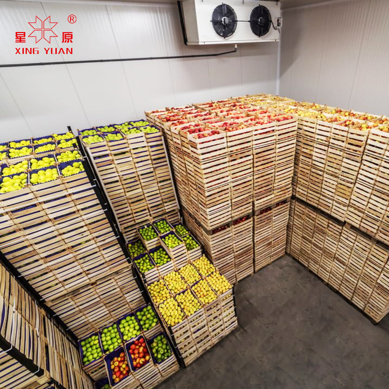 Walk in Cold Storage Room refrigerator