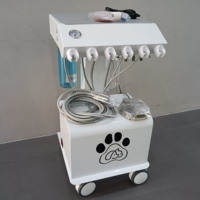 BL 610F Station de Compresseur d'Air pour Unité Dentaire Vétérinaire 550W Sans Huile Silencieuse avec Réservoir 10L, Scaler LED Intégré et Unité de Photopolymérisation