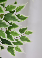 2024 Vente chaude et arbre Ficus artificiel de haute qualité de 150cm pour la décoration de la maison ou de l'intérieur avec un vrai tronc