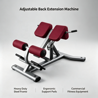 Banc de musculation robuste en acier pour l'extension dorsale, équipement de fitness commercial, machine d'entraînement du bas du dos pour la salle de sport et l'entraînement à domicile