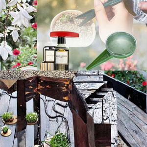 6 PCS Nouveau Mini Épandeur Manuel de Semences, Distributeur de Graines, <span class=keywords><strong>Petit</strong></span> Outil de Plantation de Semences en <span class=keywords><strong>Plastique</strong></span> Enduit de PE - Product Image 4