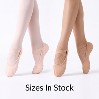 Chaussons de ballet en toile à semelle fendue E2522, vente en gros d'usine, chaussons de ballet en daim à deux points, chaussures de danse de ballet professionnelles pour la pratique