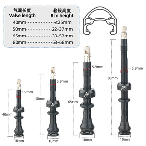 <span class=keywords><strong>Valve</strong></span> de pneu sans chambre à air en alliage d'aluminium <span class=keywords><strong>pour</strong></span> vélo, embout de <span class=keywords><strong>valve</strong></span> détachable <span class=keywords><strong>pour</strong></span> <span class=keywords><strong>jante</strong></span> <span class=keywords><strong>tubeless</strong></span> de 50/80 mm - Product Image 3