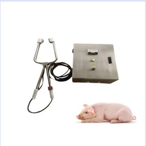 Ligne complète d'abattage de porcs, dispositif d'étourdissement électrique et manuel, équipement d'étourdissement de porcs haute productivité, abattoir de truies - Product Image 1