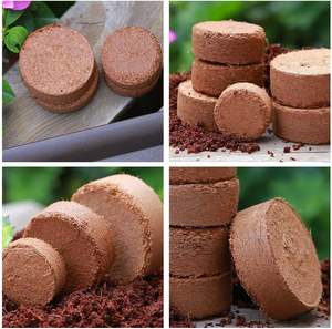 Discos de turba, pellets de coco, pastillas de inicio de semillas, bloques de suelo para plántulas en paletas - Product Image 6