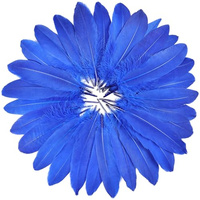 Plume d'oie jaune pour Arts artisanat bricolage stylo aile coiffure Costume chapeau cheveux accessoire carnaval fête mariage maison noël