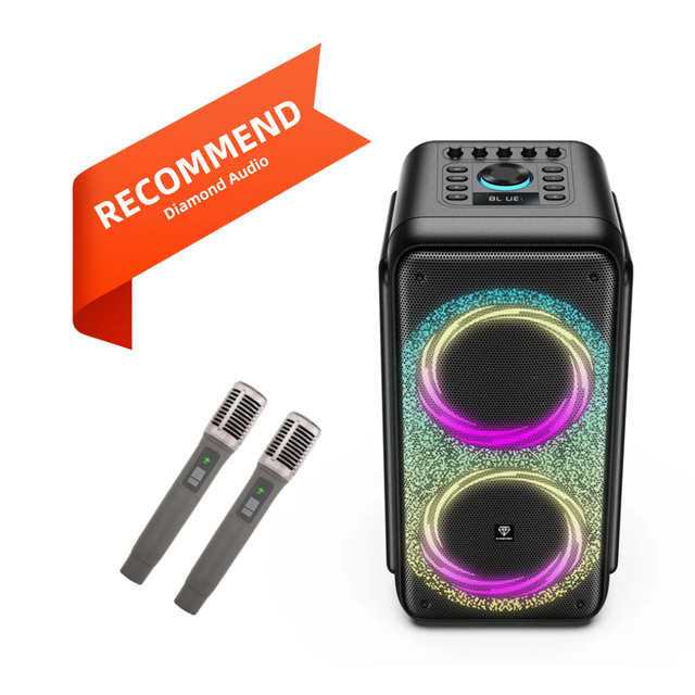 Dual 6.5 Inch Party Speaker, Portable PA Karaoke Machine with LED Party Lights, USB TF Card FM Radio