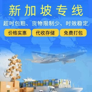 Hongshida International Logistics Singapour Ligne dédiée Fret maritime aérien ferroviaire Dédouanement taxes incluses Porte à porte - Product Image 4